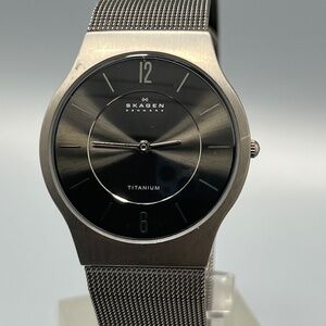 Skagen Gray  Titanium Mesh Watch Unisex Adult